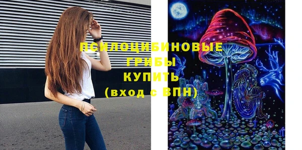 тгк Абинск