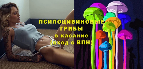 мяу мяу мука Алексеевка