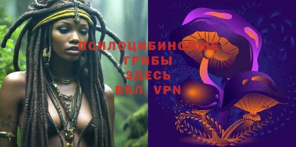 мяу мяу мука Алексеевка